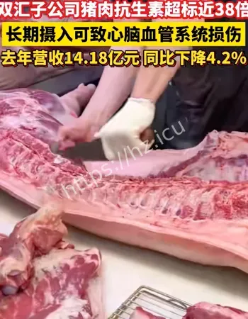双汇猪肉抗生素超标