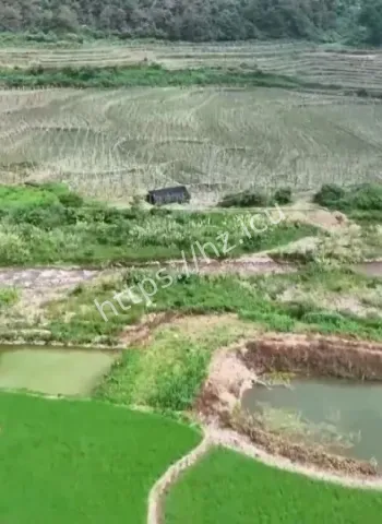 种植面积造假全曝光